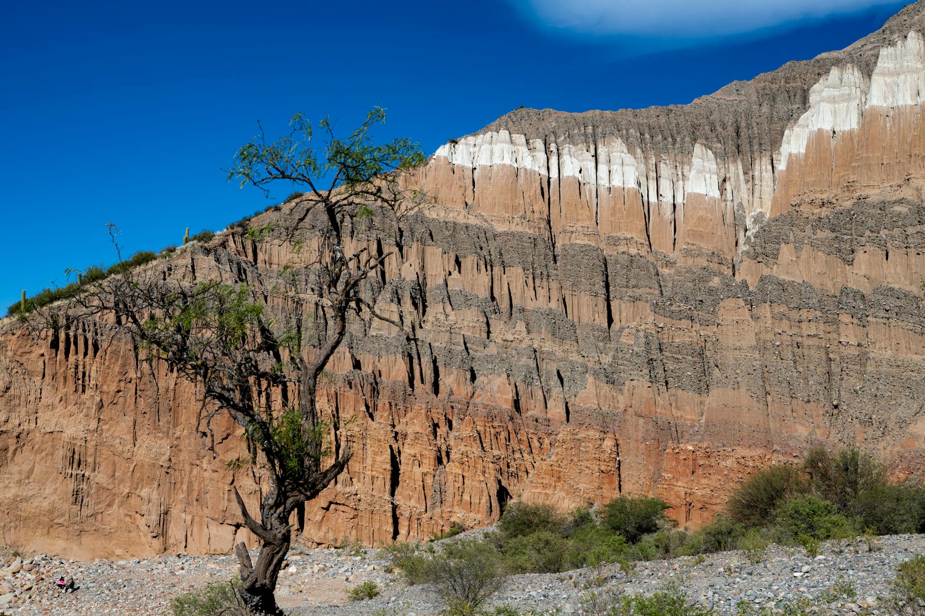 Argentina travel questions