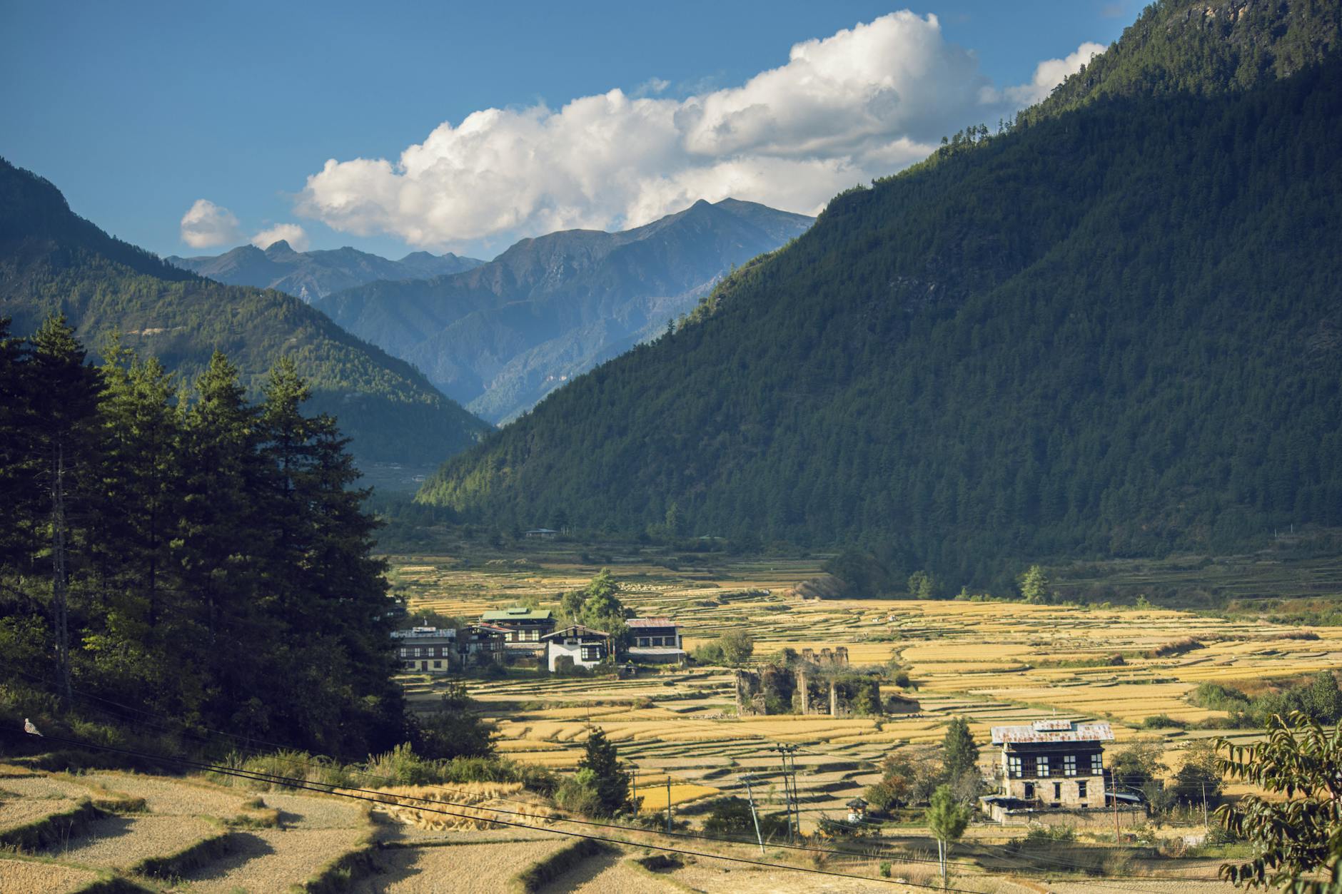 Bhutan unique landscape