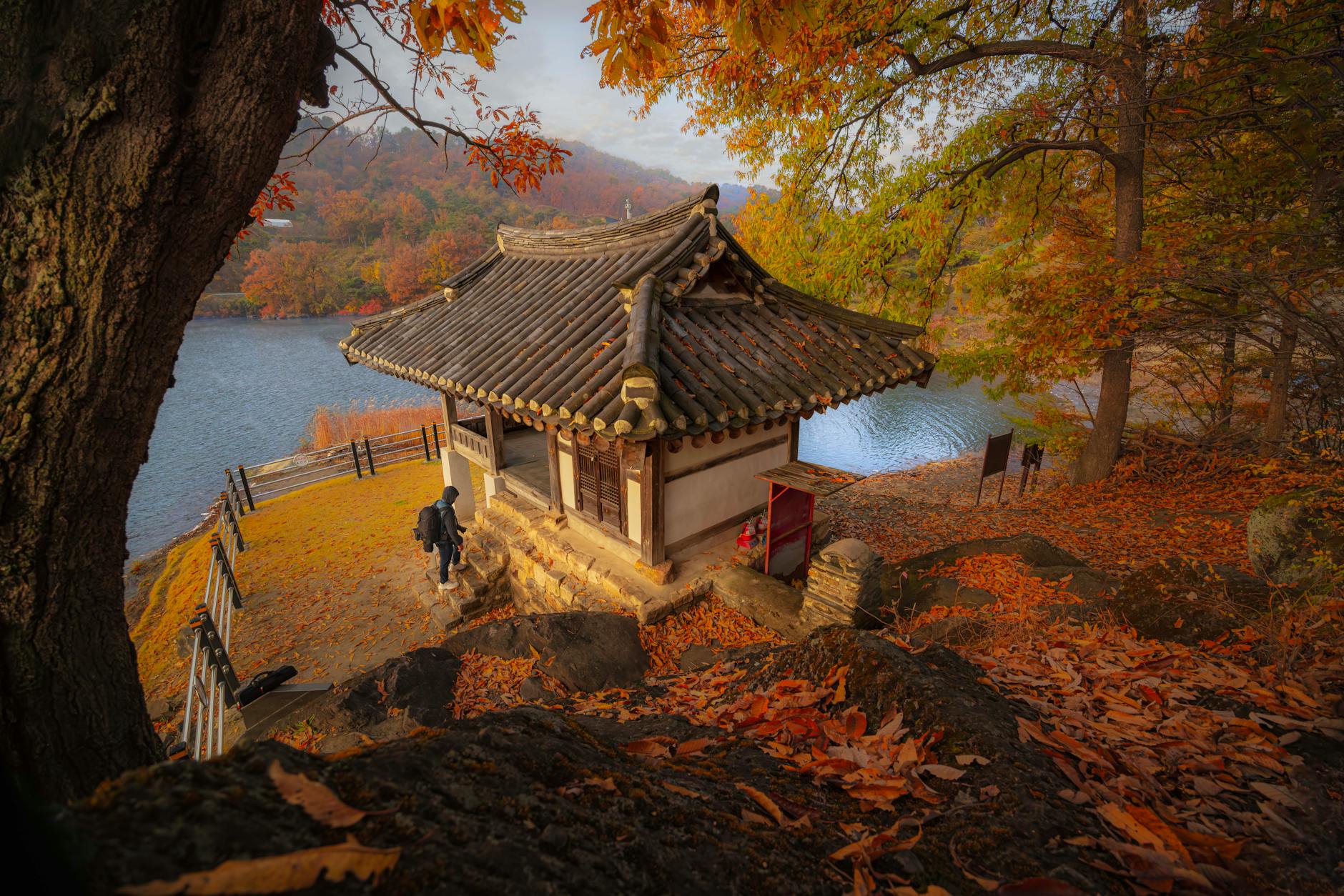 Korea adventure awaits