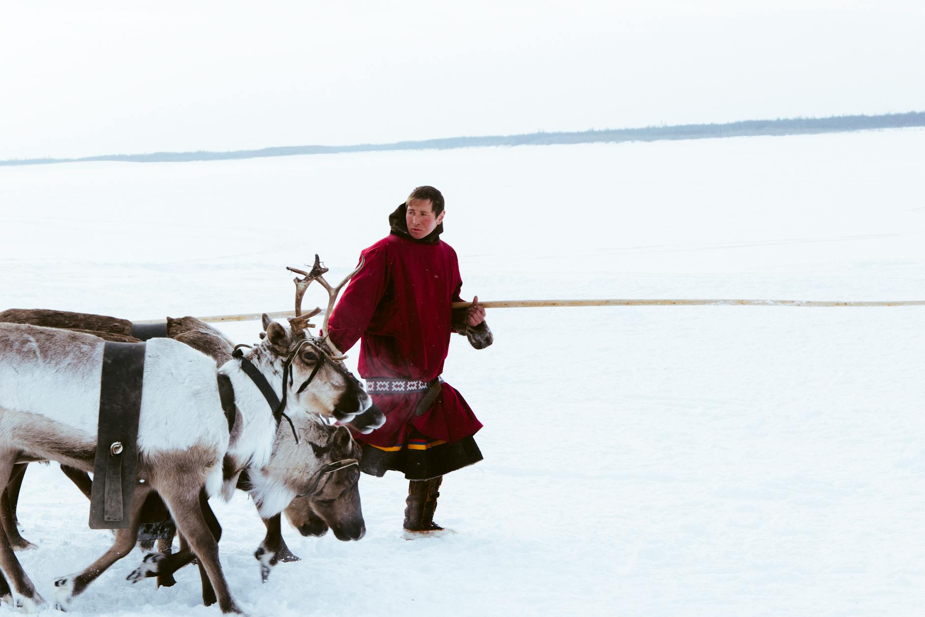 Lapland Arctic Sámi culture