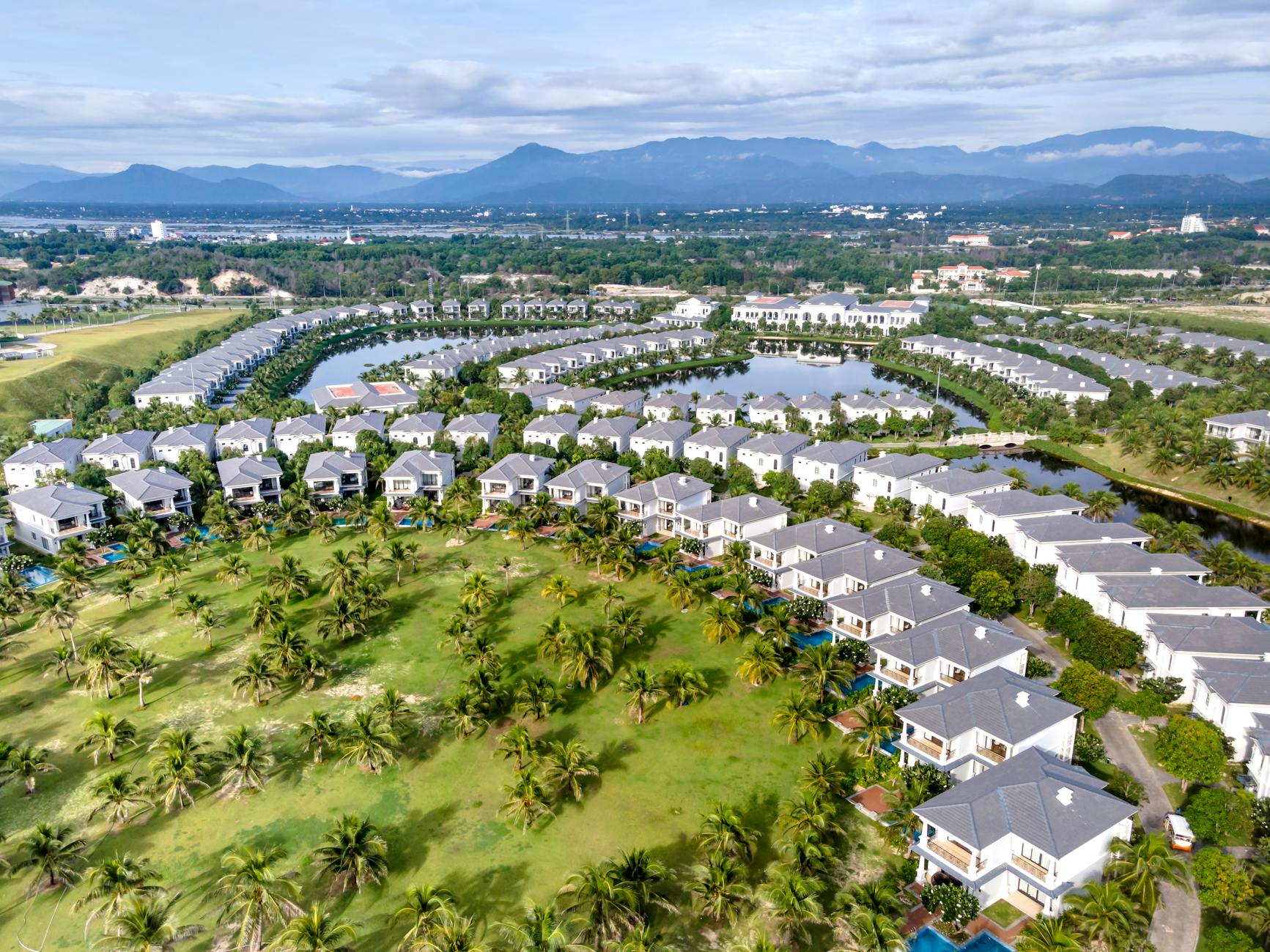 Lugano lake palm trees
