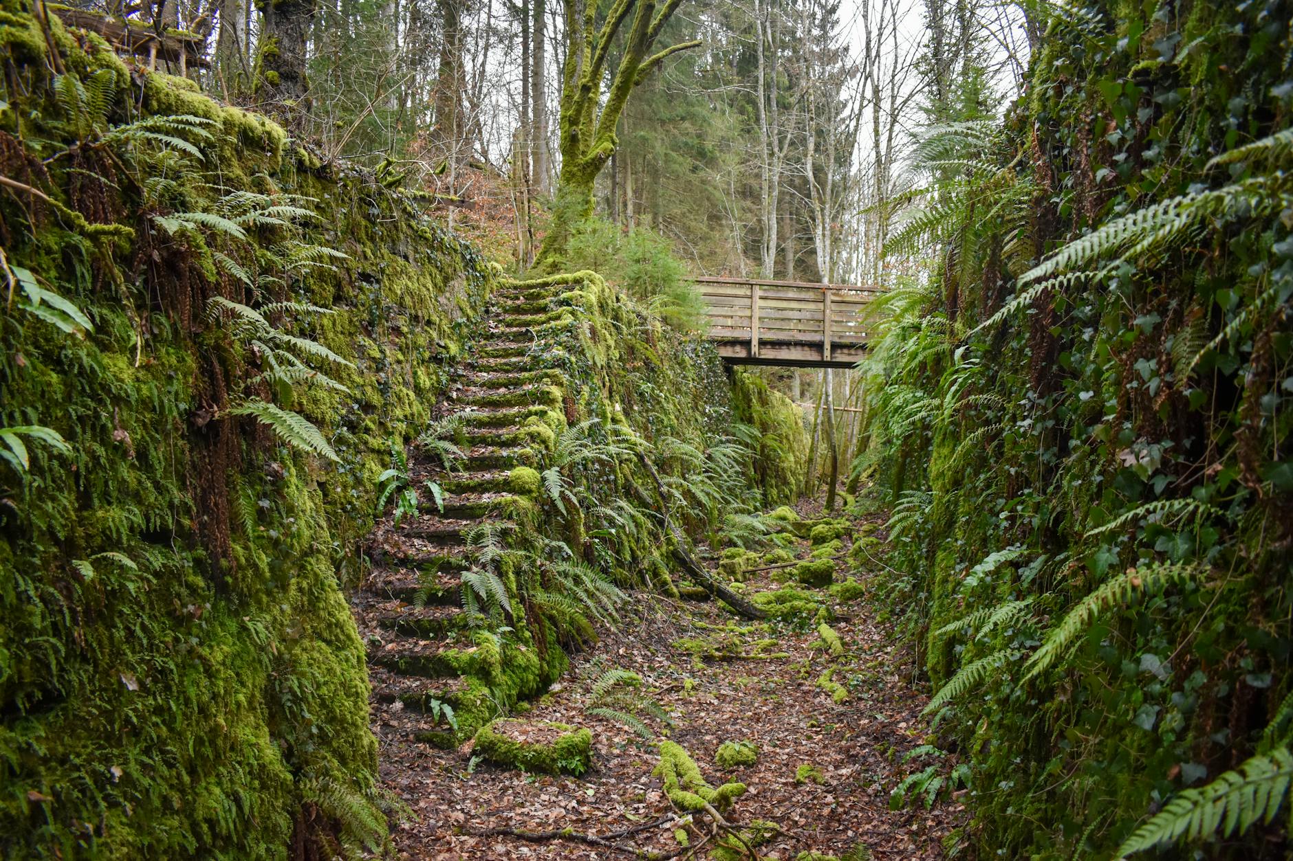 Luxembourg adventure awaits