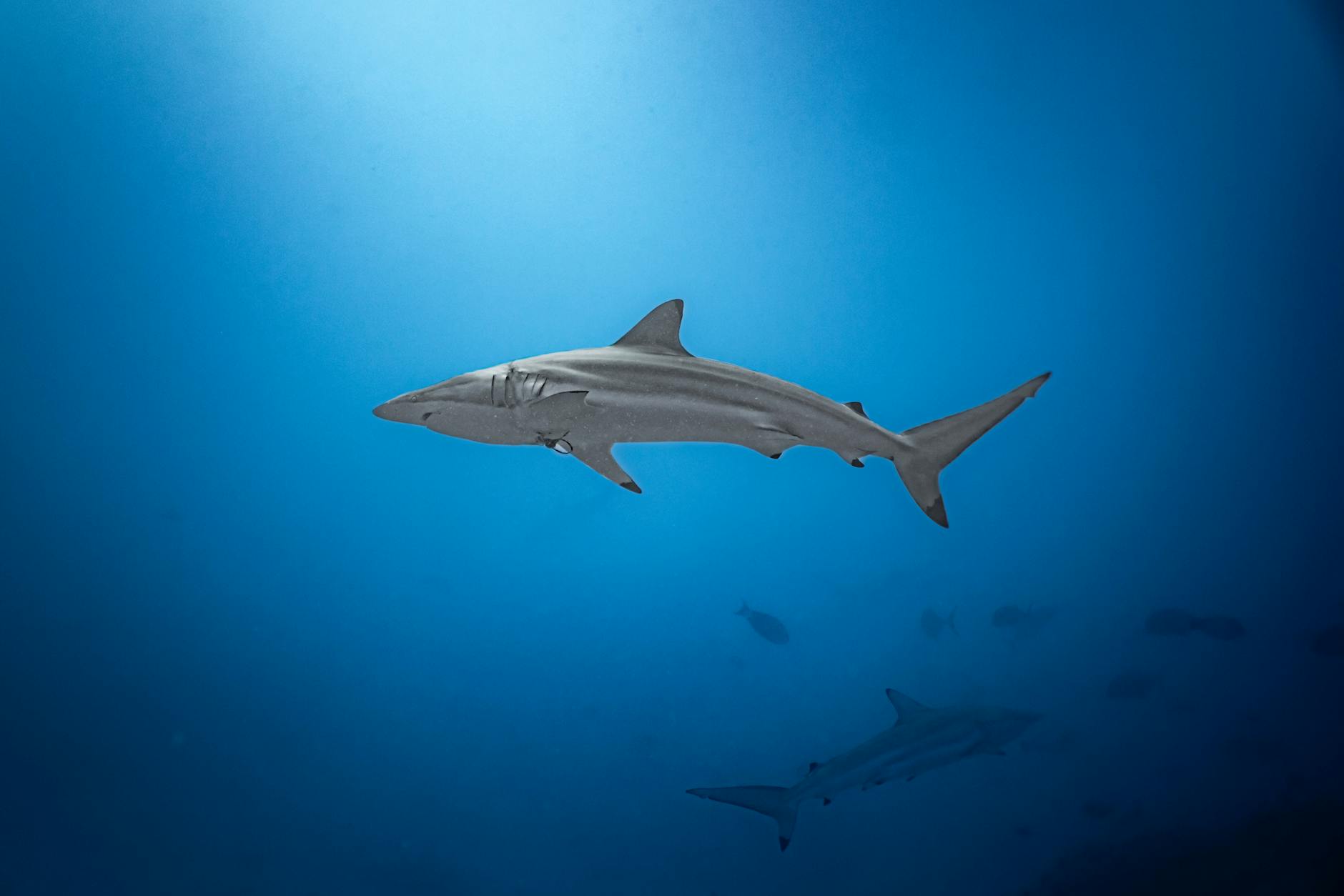 Maldives adventure trip