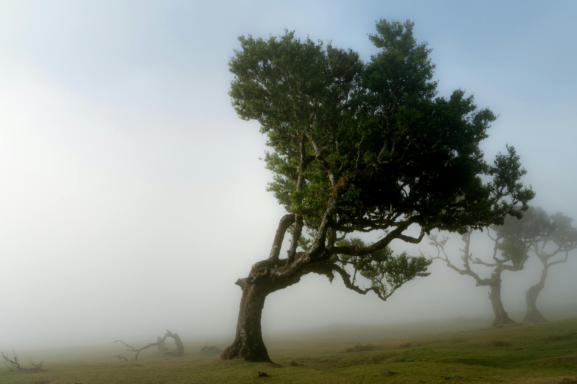 Portugal scenic landscape