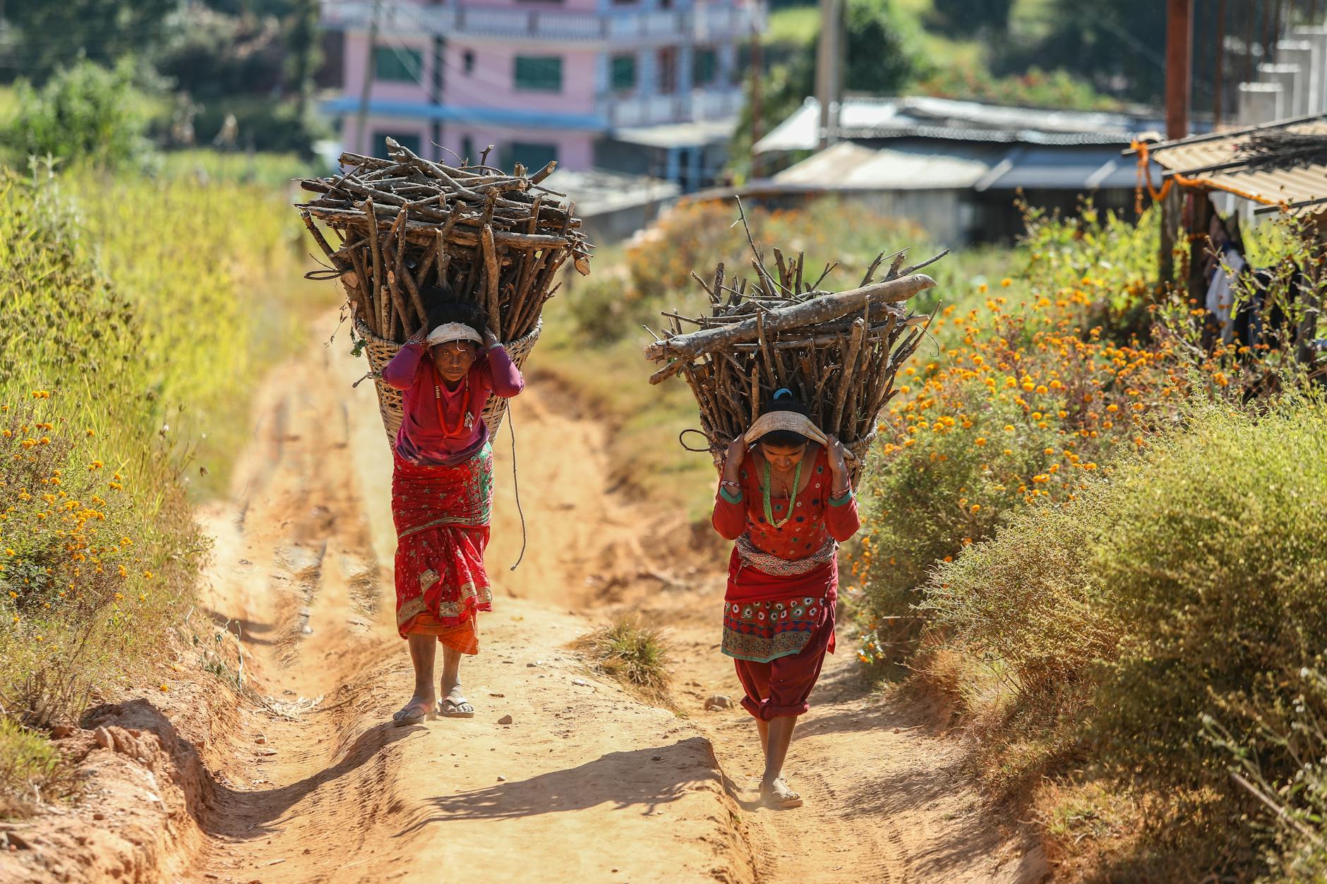 Rural Nepal village