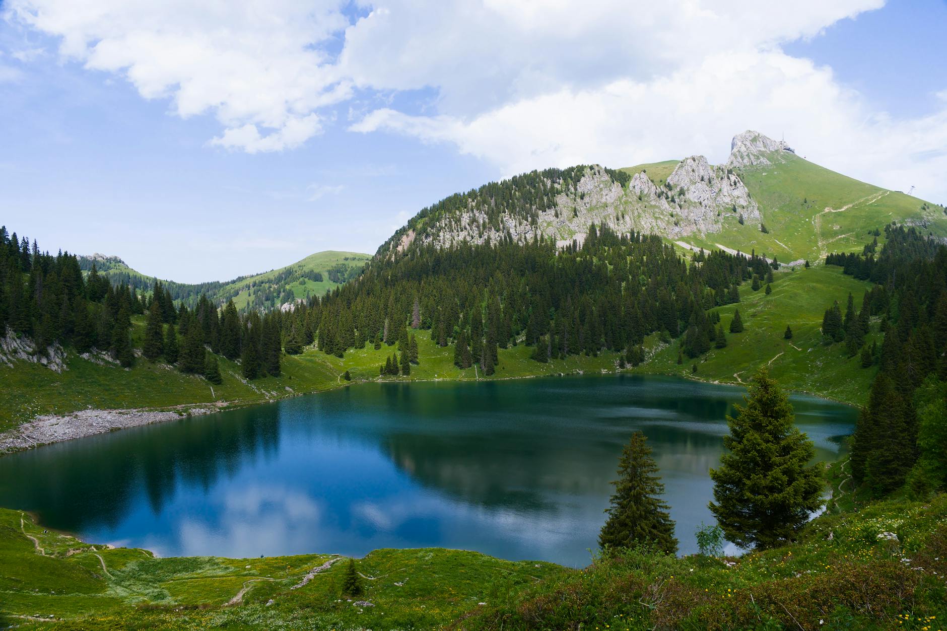 Swiss park wilderness