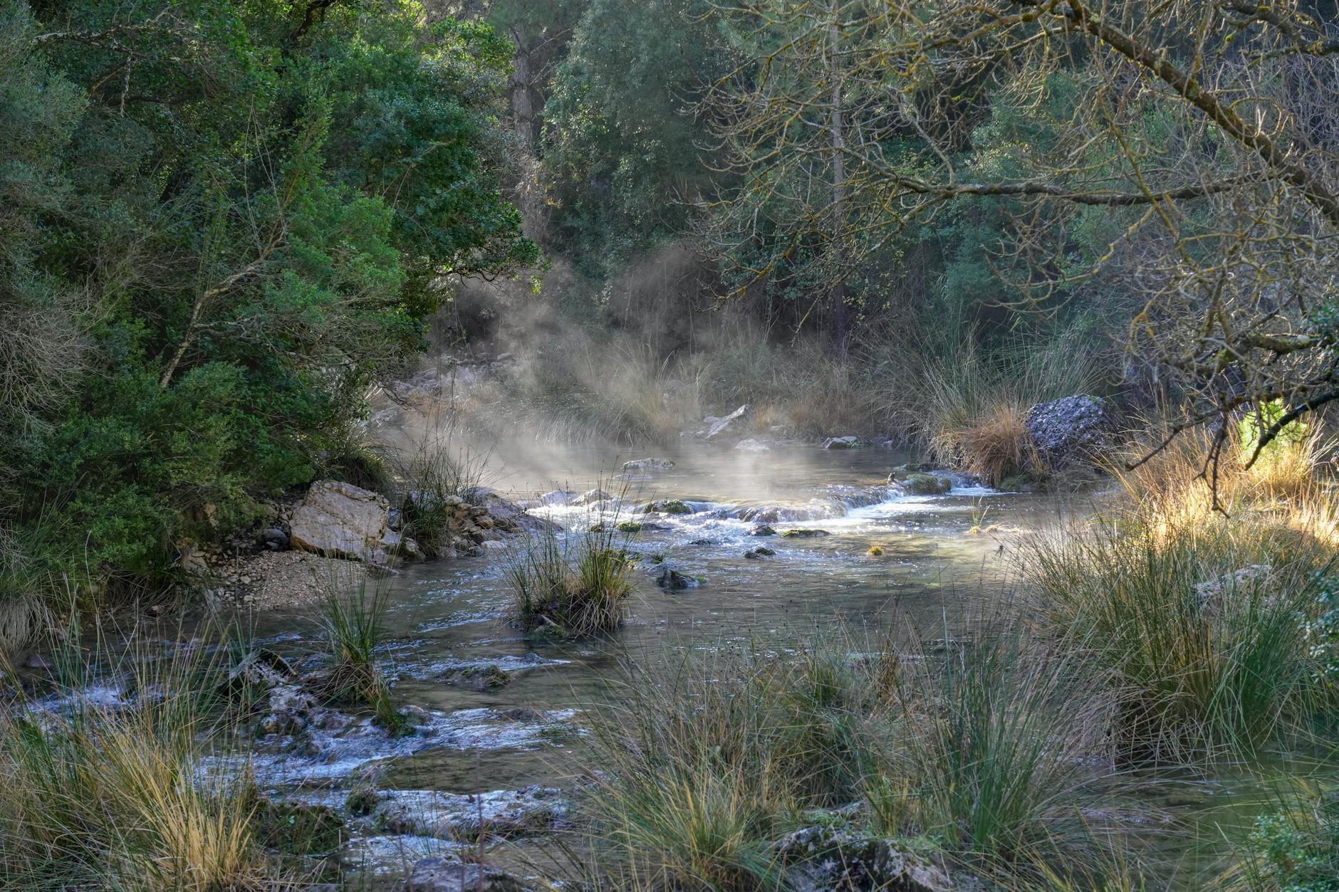 Travel essentials Spain