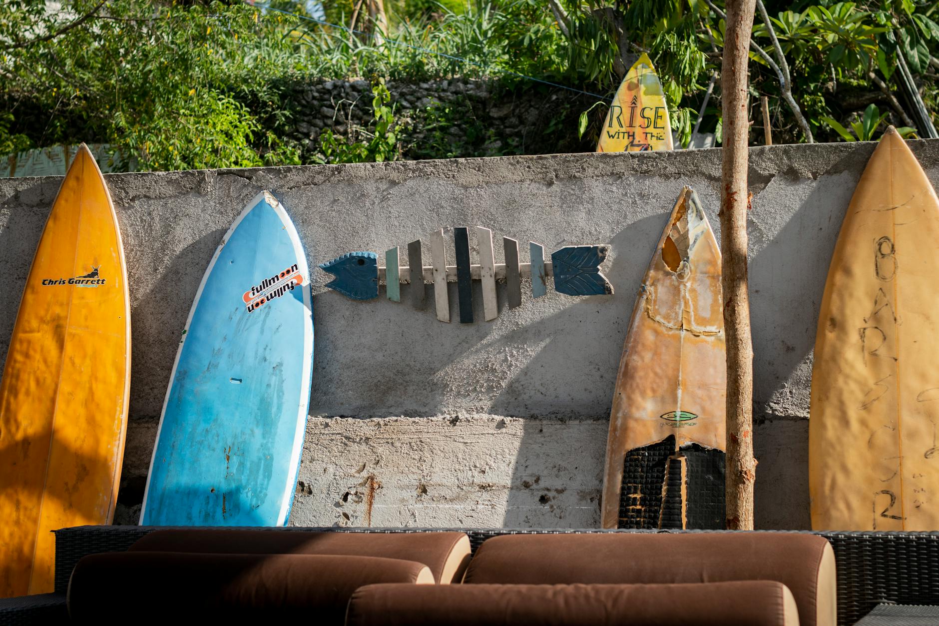 Baja activities vacation