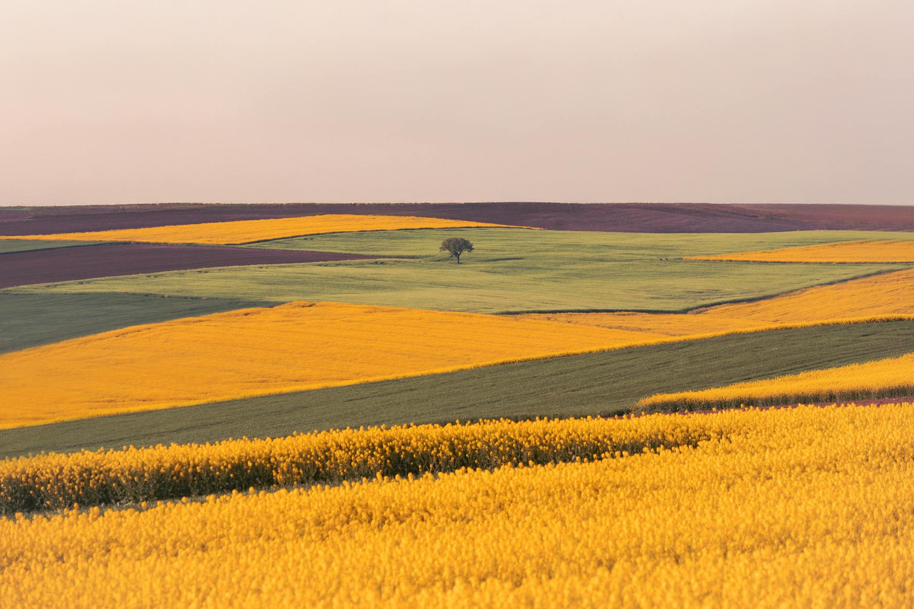 Boston seasonal overview