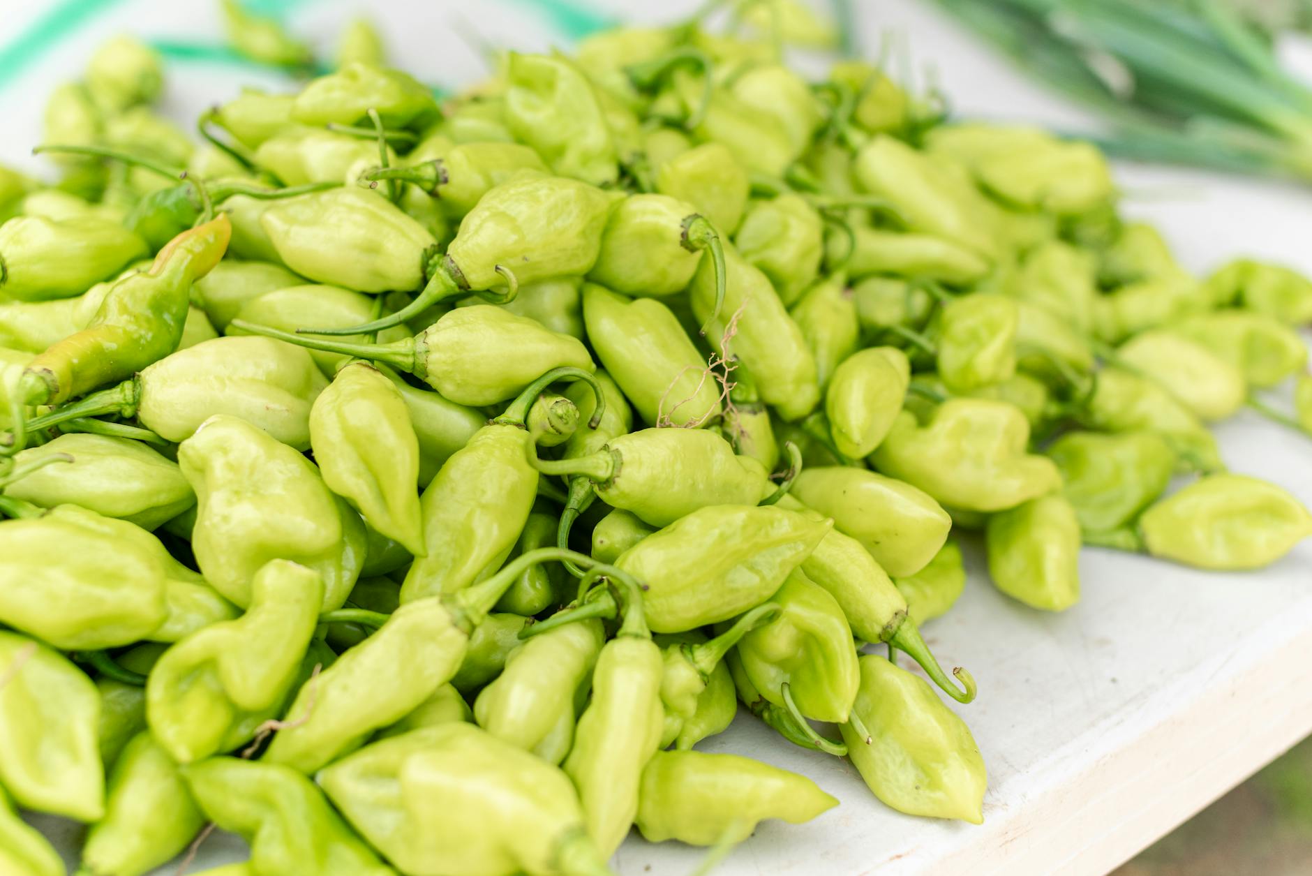 Caribbean local food activities