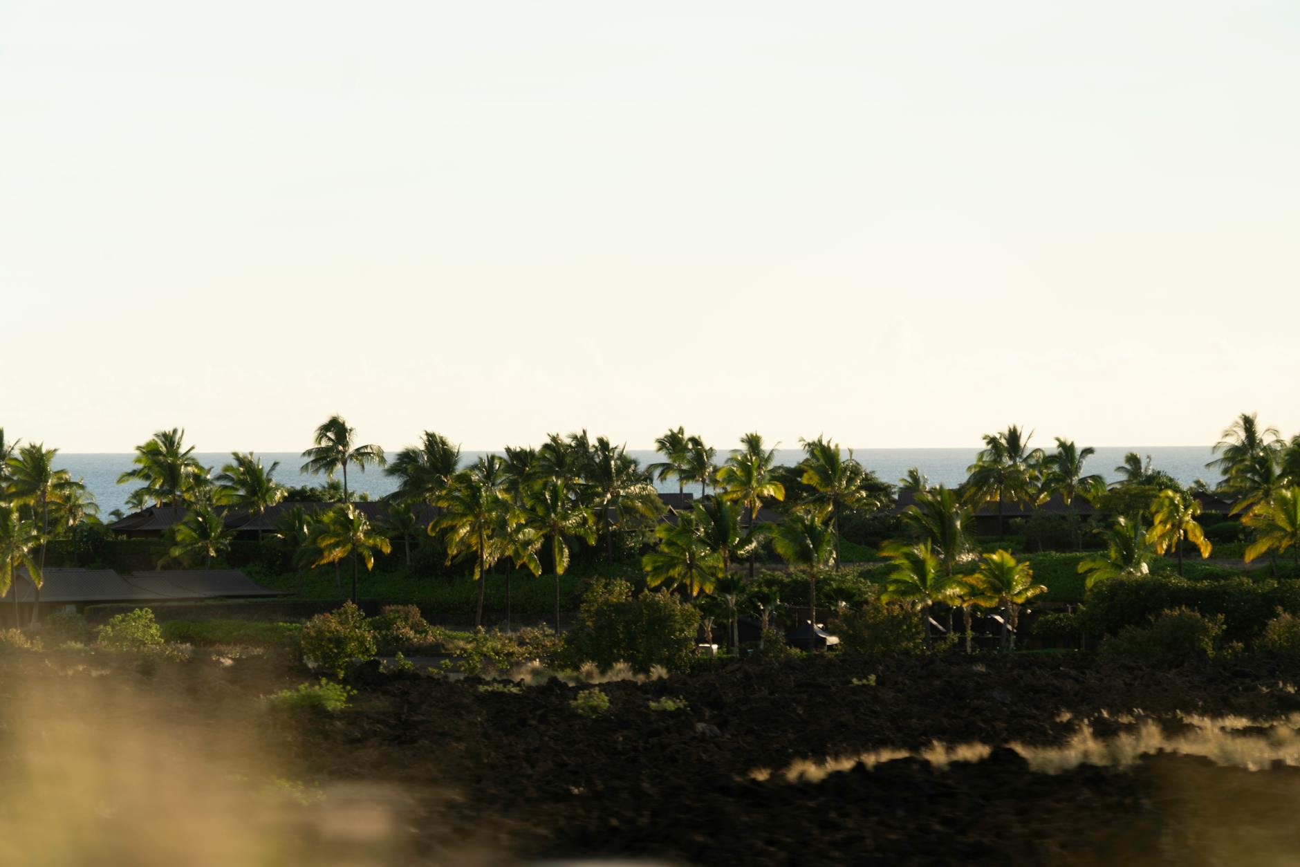 Hawaii tropical climate