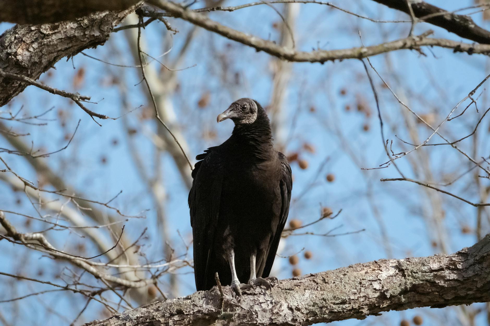 Kentucky diverse adventures