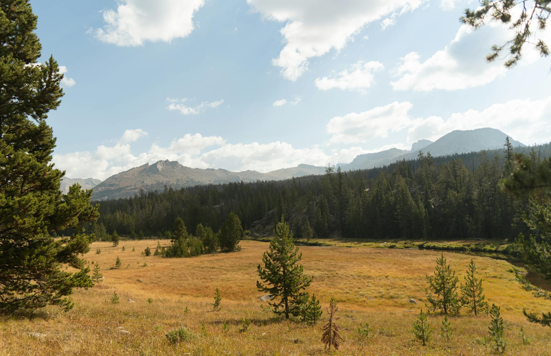 Key West free activities