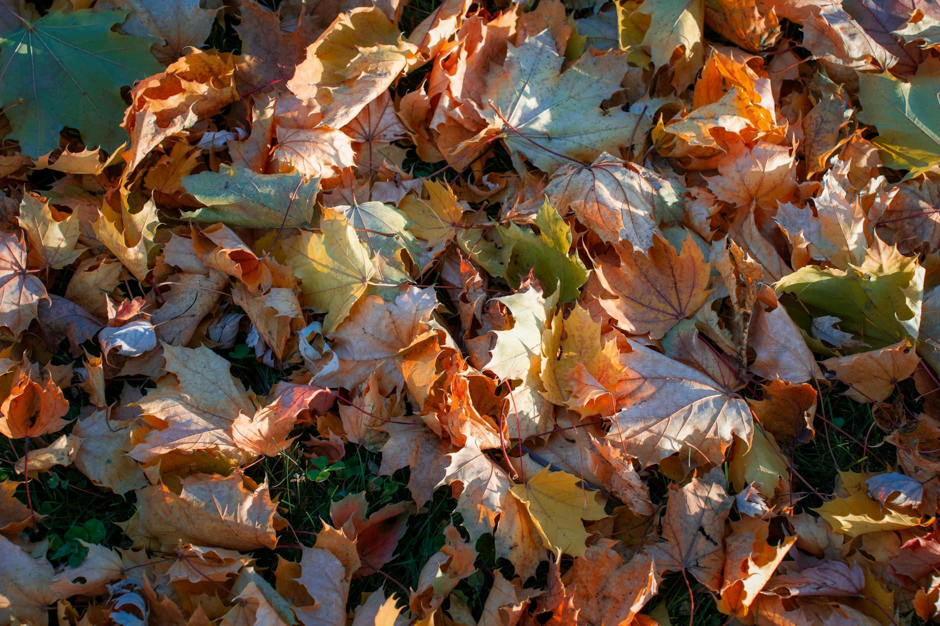 Los Angeles seasons weather