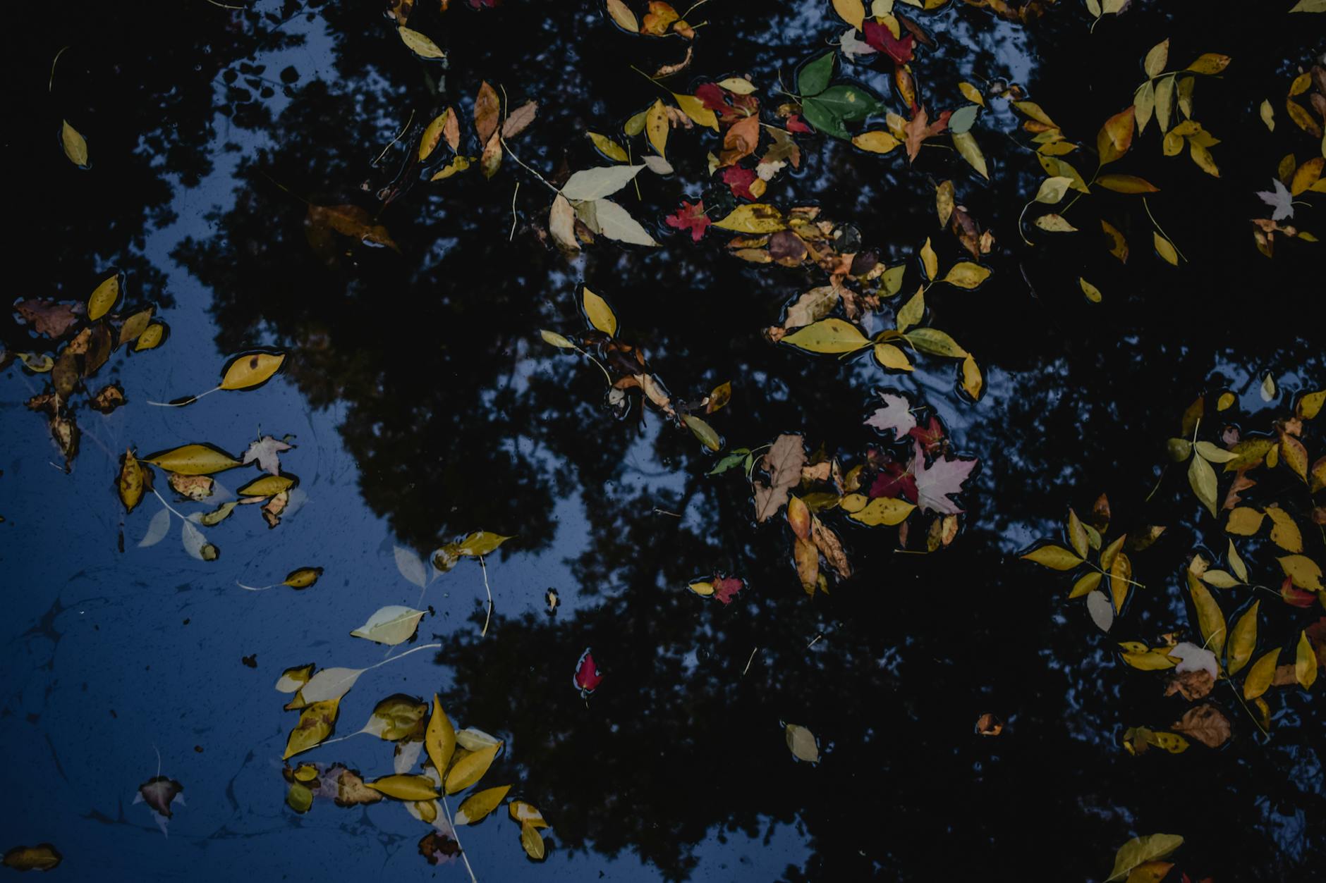 Montreal, Quebec travel items