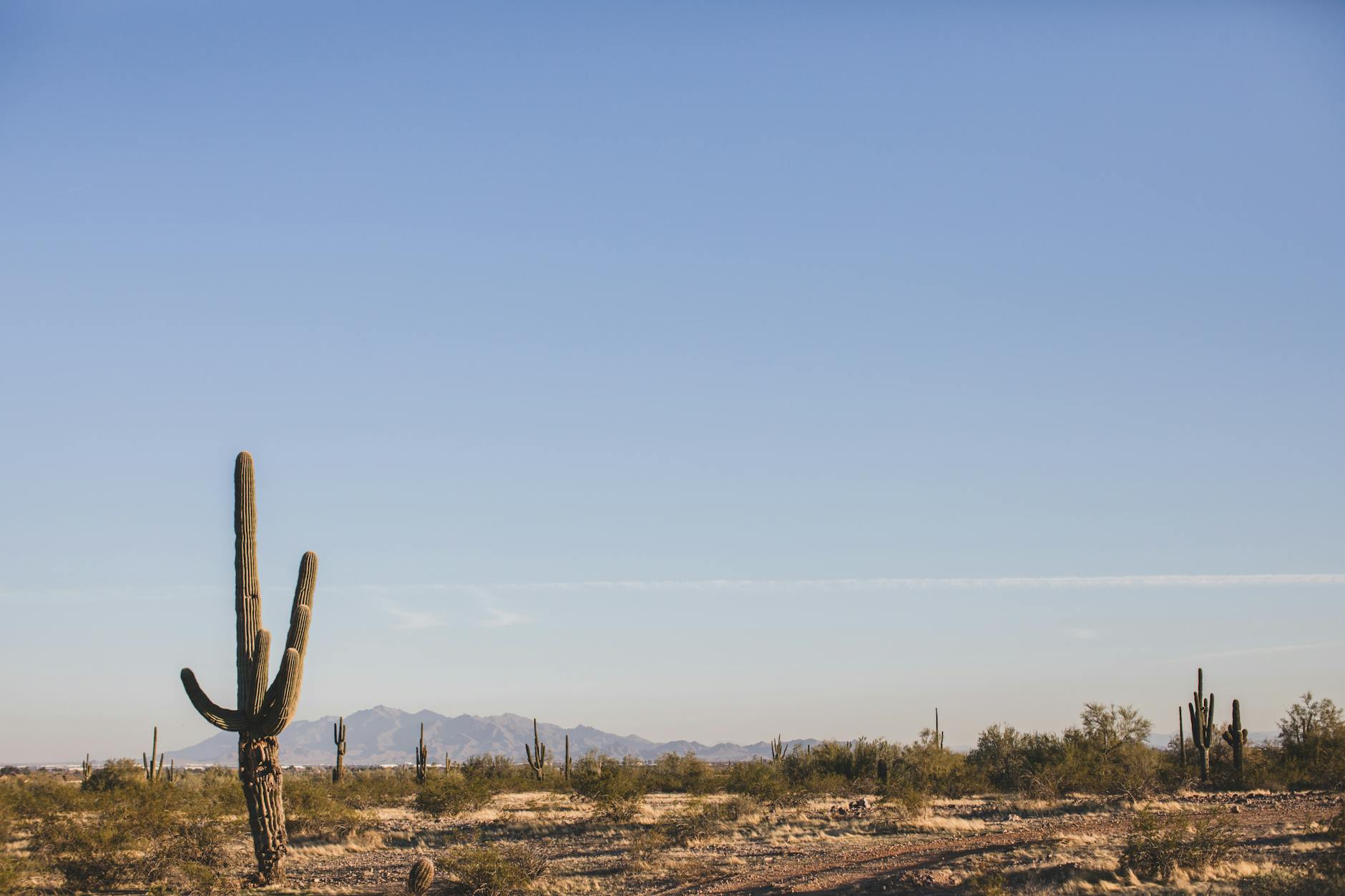Phoenix desert mountains