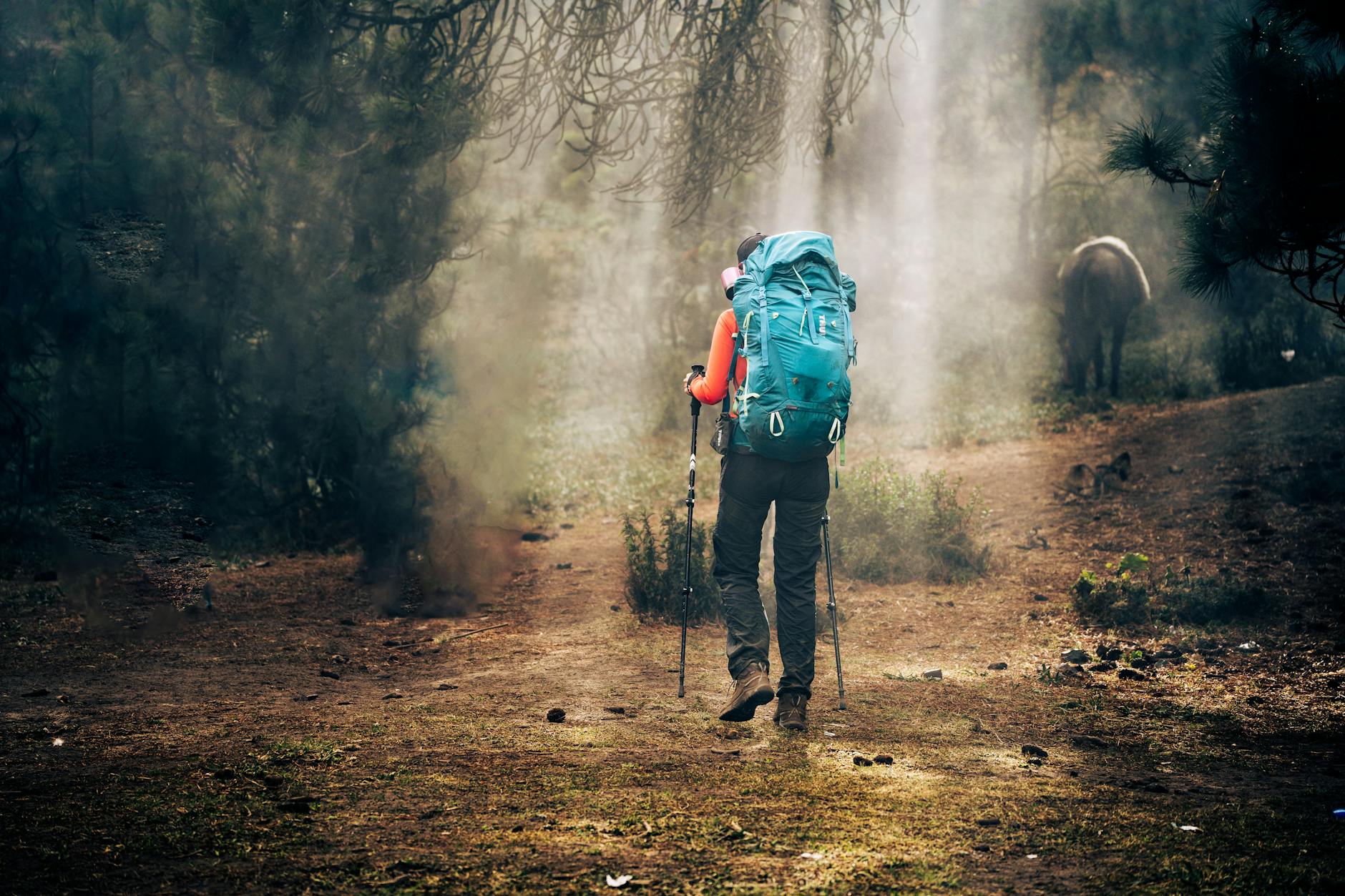 San Diego adventure path