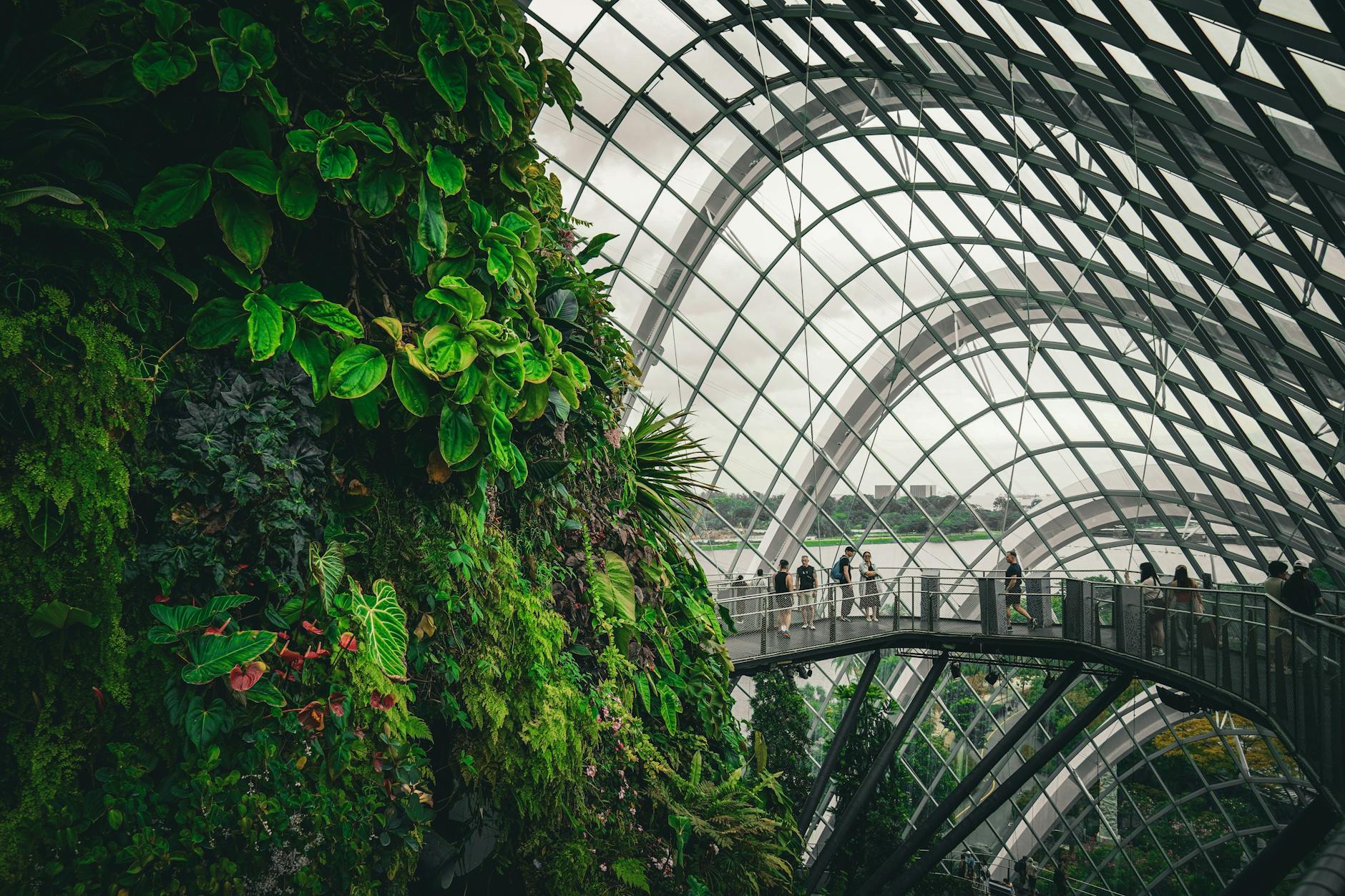 Singapore travel tips