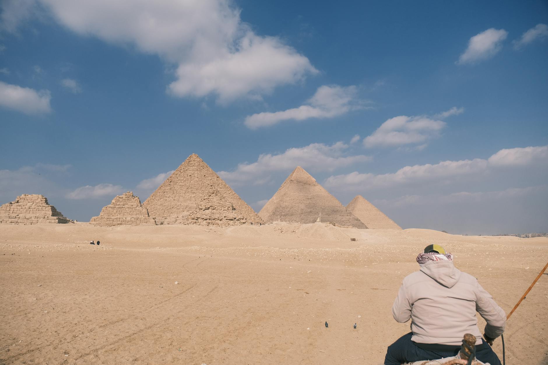 Sonoran desert landscape culture