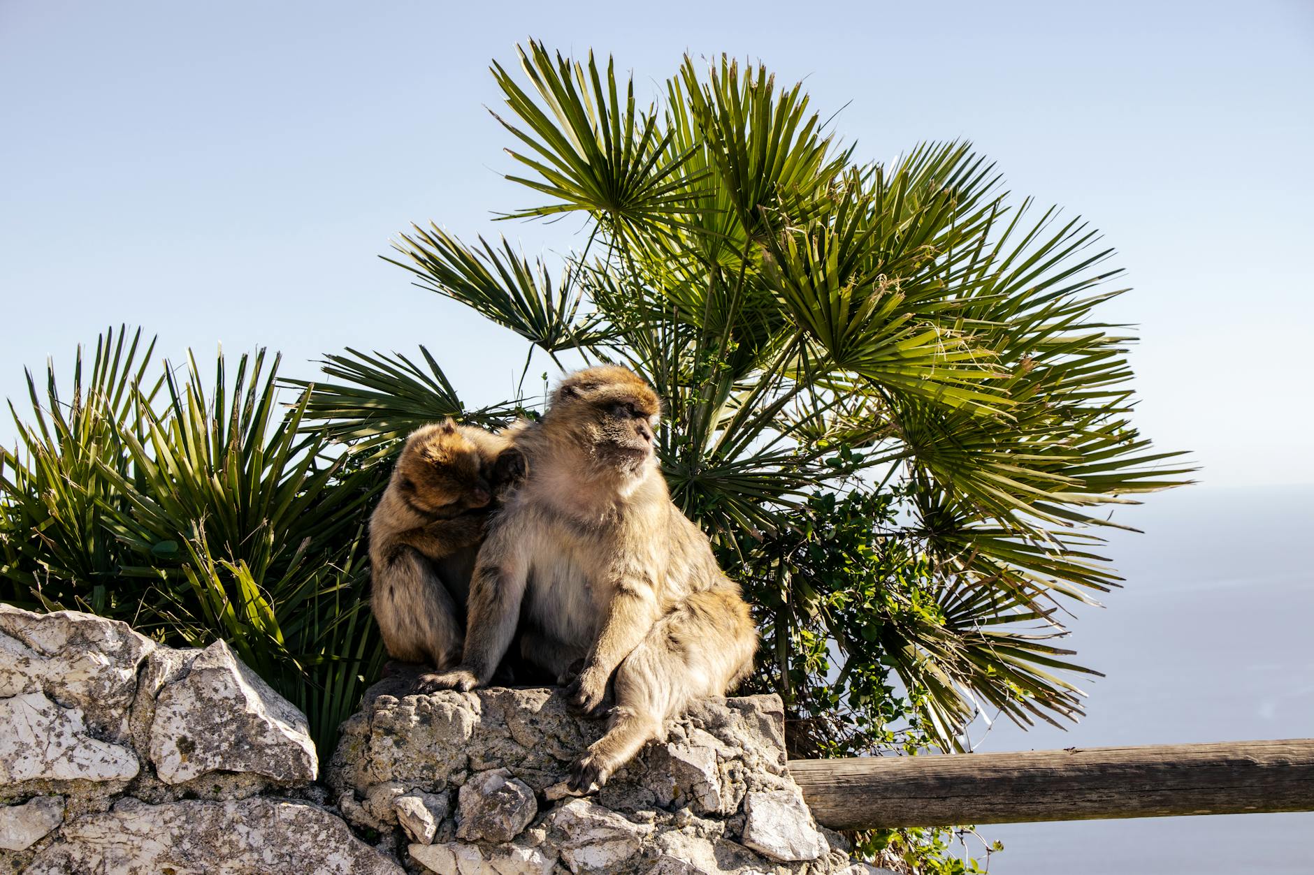 Spain travel questions