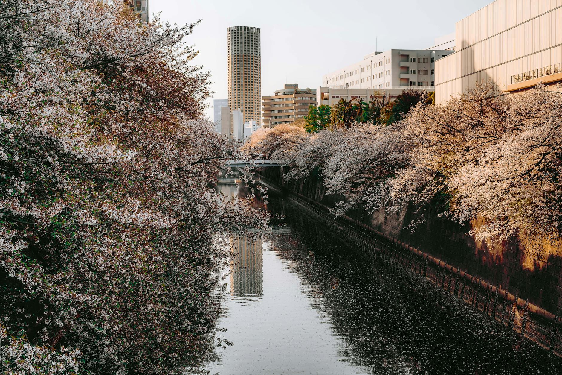 Tokyo travel checklist