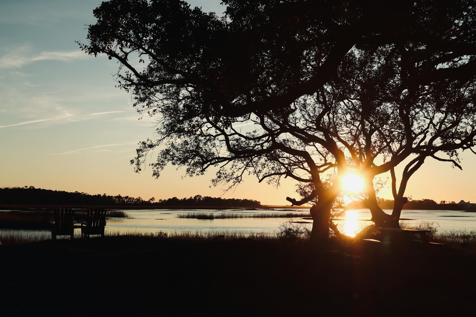 lowcountry landscape